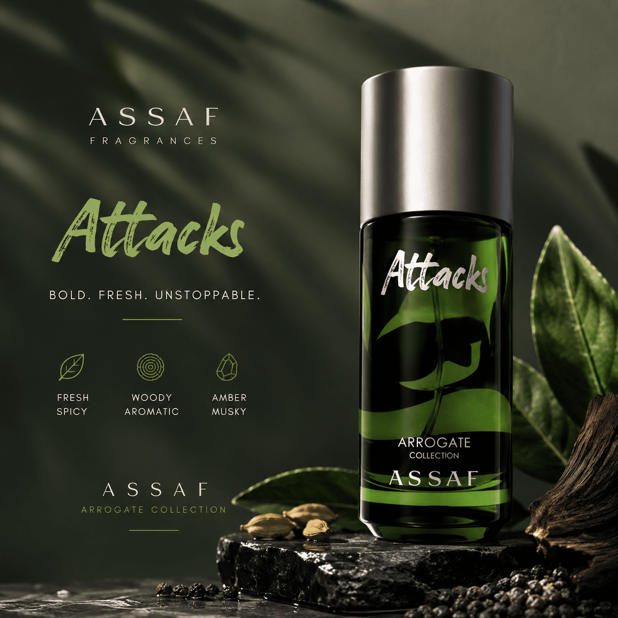 0D34A7E5-EF33-470C-8FBD-5CED2F0B20DA Assaf Attacks